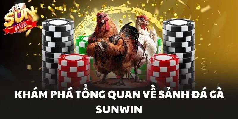 Đá Gà Sunwin – Nơi Hội Tụ Những Trận So Tài Đỉnh Cao 1 Khám phá tổng quan về sảnh Đá Gà Sunwin