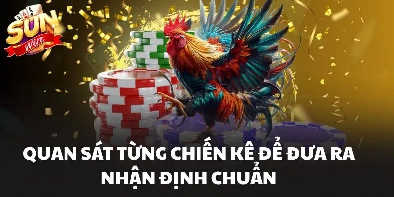 Đá Gà Sunwin – Nơi Hội Tụ Những Trận So Tài Đỉnh Cao 3 Quan sát từng chiến kê để đưa ra nhận định chuẩn